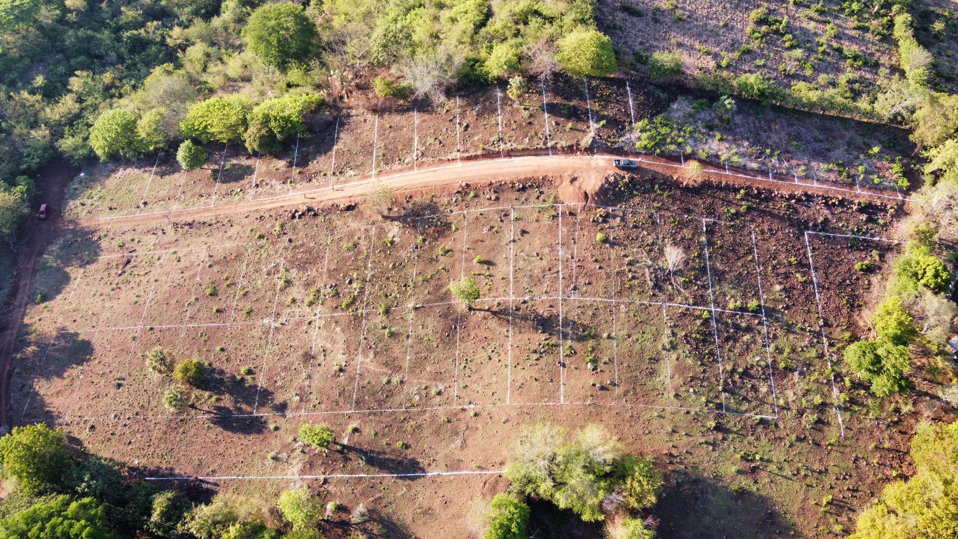 Aerial view of surveyed and staked lots at Paradise Bay