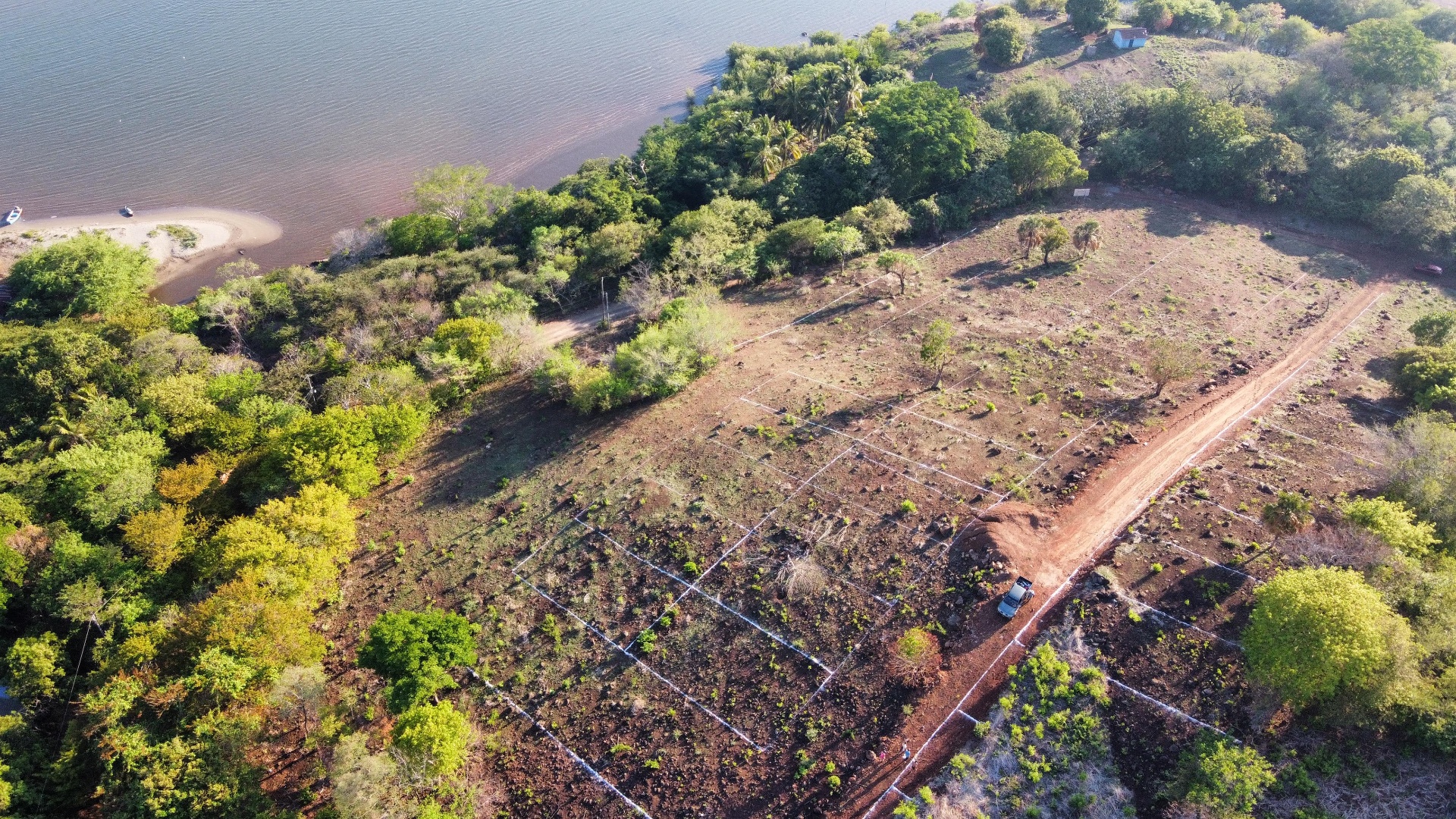 Aerial view of staked lots along the waterfront at Paradise Bay